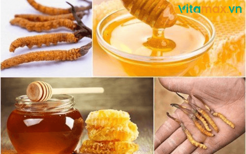 tác dụng của mật ong ngâm đông trùng hạ thảo