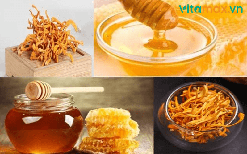 tác dụng của mật ong ngâm đông trùng hạ thảo