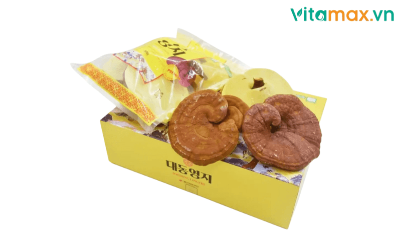 tác dụng của nấm linh chi trong giảm cân