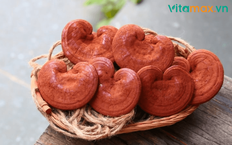 tác dụng của nấm linh chi trong giảm cân
