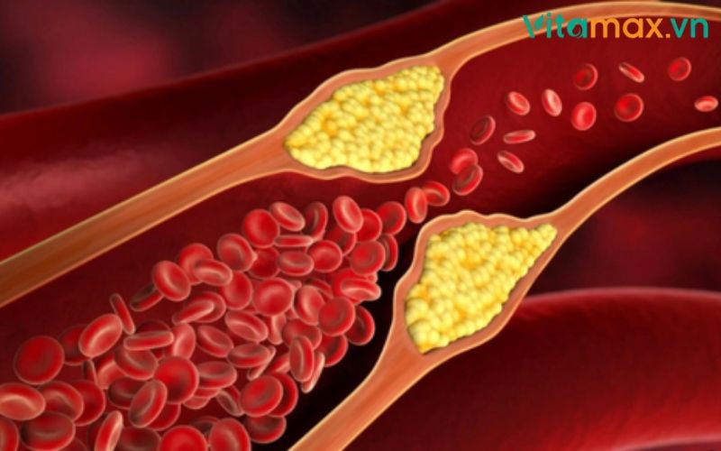 tác dụng của tinh dầu thông đỏ