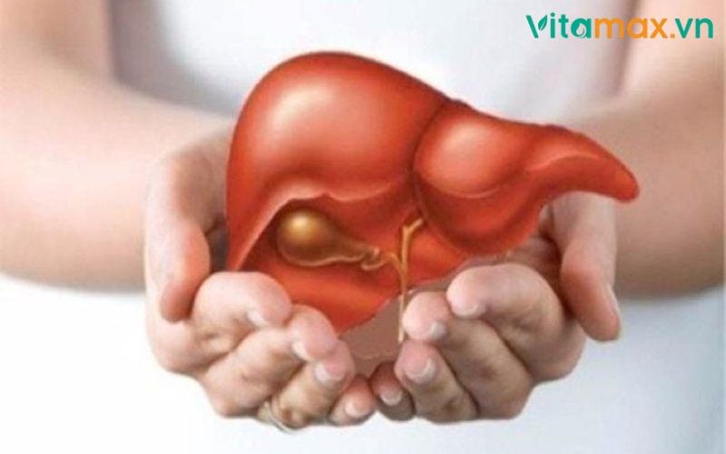 tác dụng của tinh dầu thông đỏ