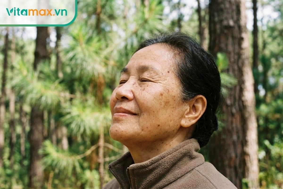 Người lớn tuổi hít thở sâu trong không gian trong lành, minh họa tác dụng bổ phổi của đông trùng hạ thảo.