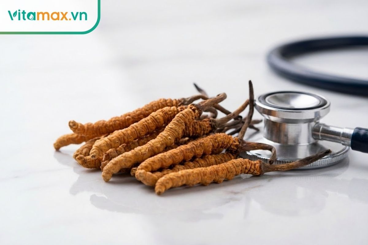 Cận cảnh sợi đông trùng hạ thảo khô chất lượng cao với kết cấu chi tiết, biểu tượng cho sức khỏe tim mạch.