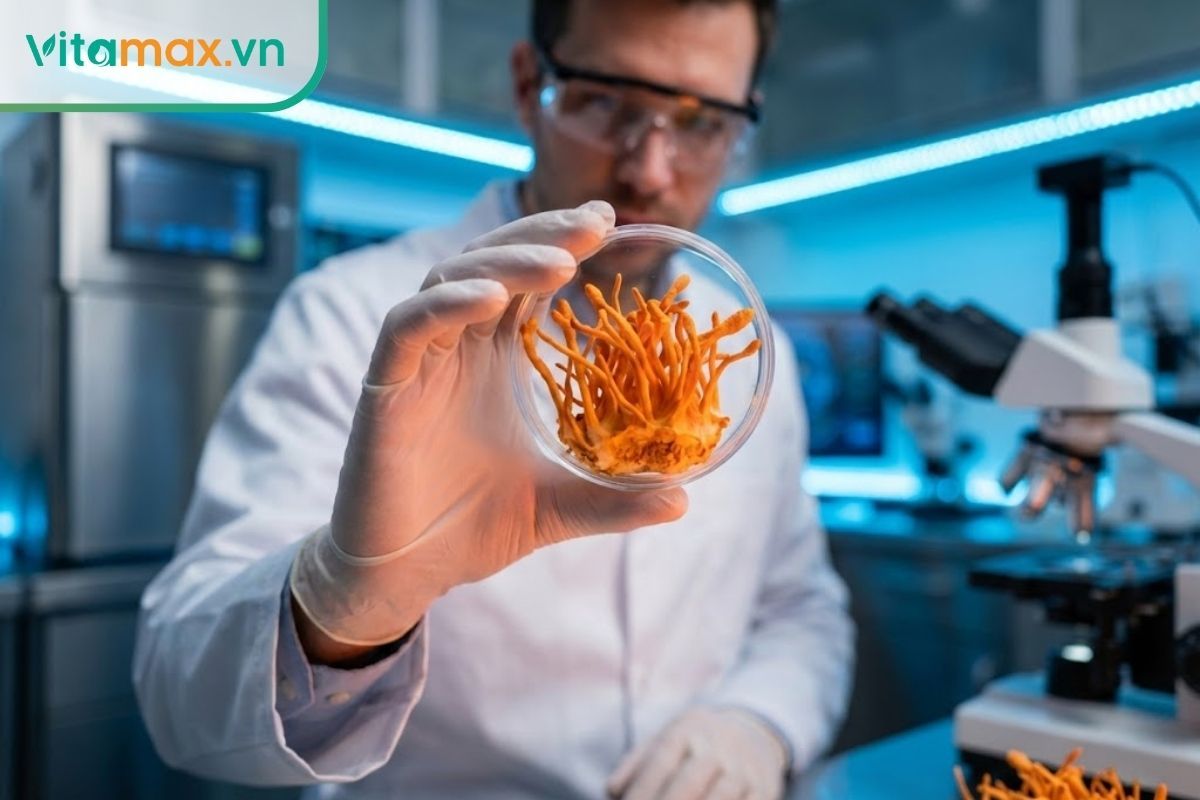 Chuyên gia đang nghiên cứu thành phần dược tính của nấm nhộng trùng thảo trong phòng thí nghiệm hiện đại.