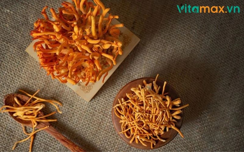 tác dụng phụ của nấm đông trùng hạ thảo