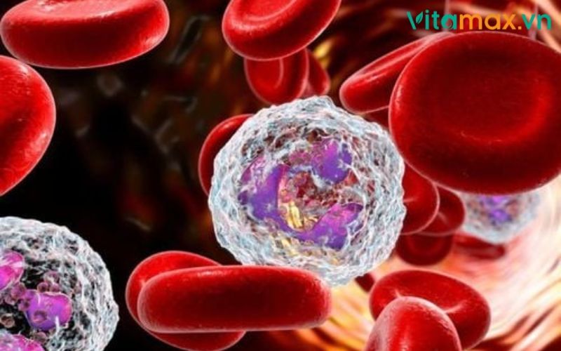 tác dụng phụ của nấm đông trùng hạ thảo
