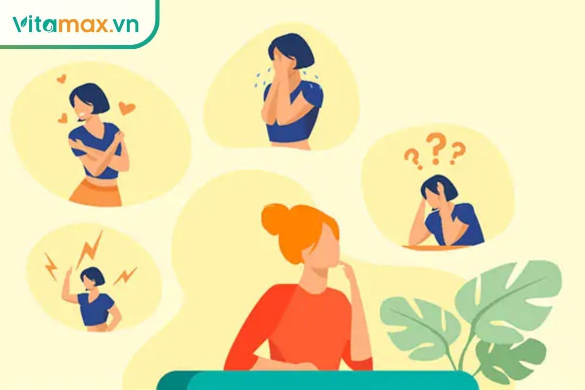 minh họa tác dụng của rượu sâm lên nội tiết, tim mạch và năng lượng ở phụ nữ