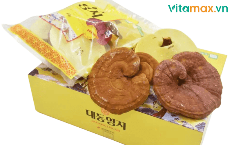 tác hại nấm linh chi