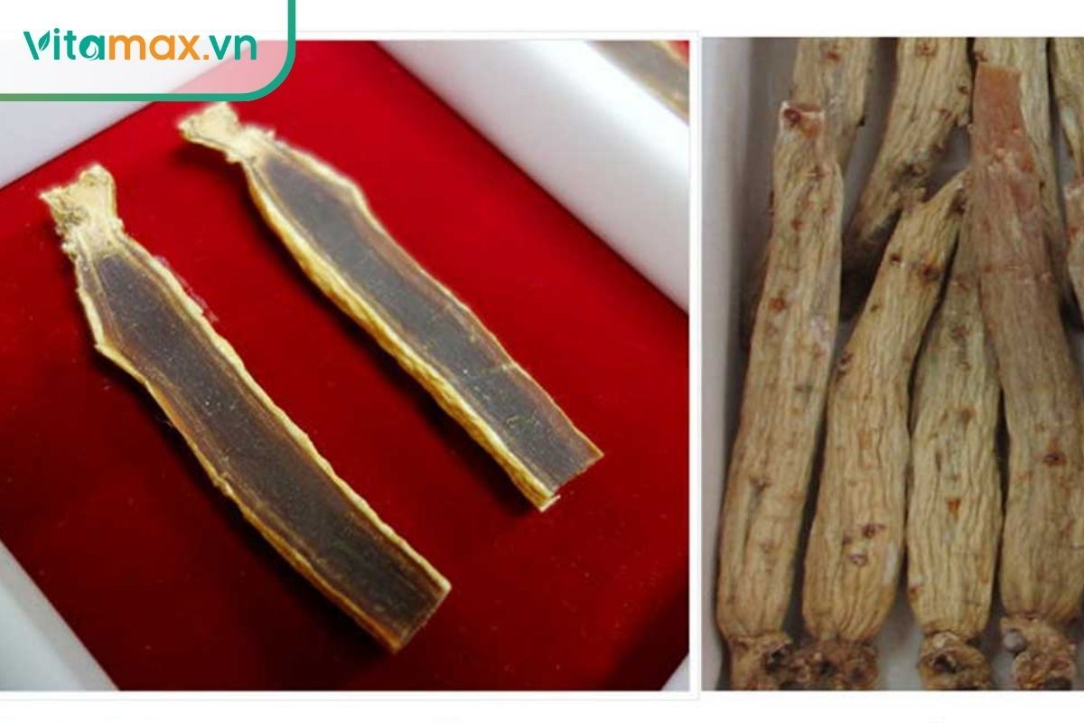 Thái cực sâm Hàn Quốc có màu vàng nâu, là dạng sâm cân bằng giữa bạch sâm và hồng sâm.