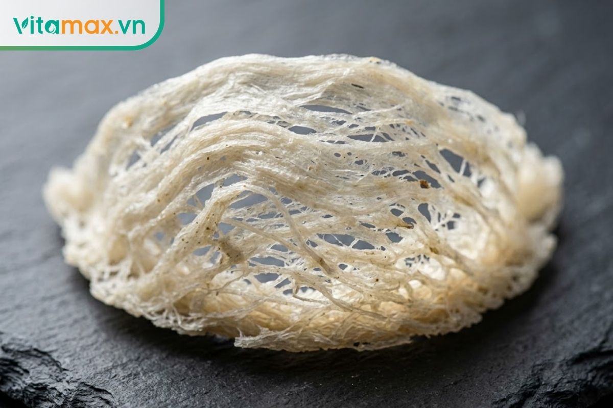 Chụp cận cảnh tổ yến thô nguyên chất màu trắng ngà đặt trên mặt bàn đá nhám, hiển thị rõ từng lớp sợi yến tự nhiên đan xen.