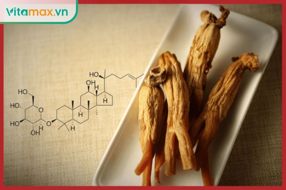 cấu trúc hoạt chất ginsenoside trong nhân sâm giúp tăng sức đề kháng và cải thiện tuần hoàn máu
