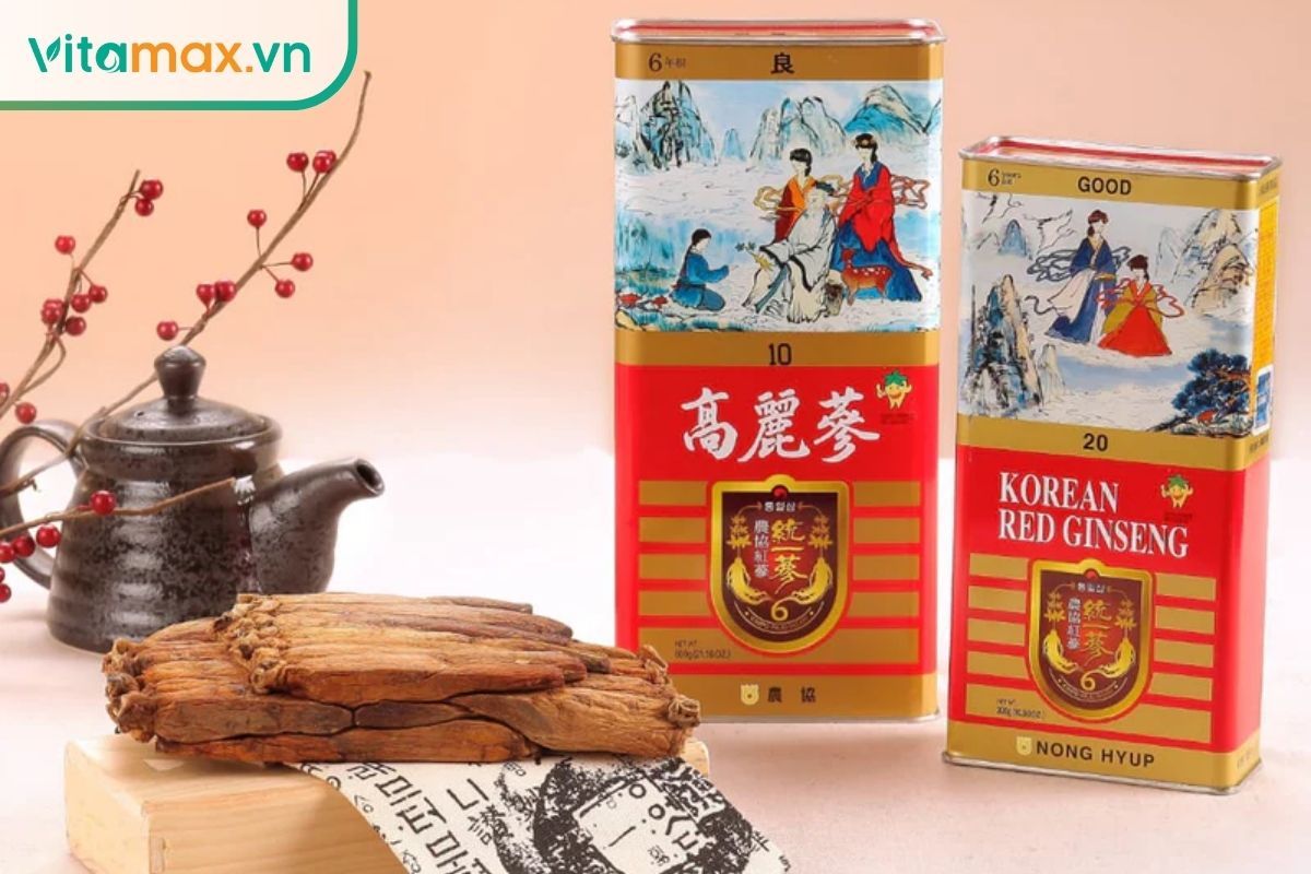 thiên sâm Hàn Quốc 6 năm tuổi cao cấp dạng củ nguyên bản tại Vitamax