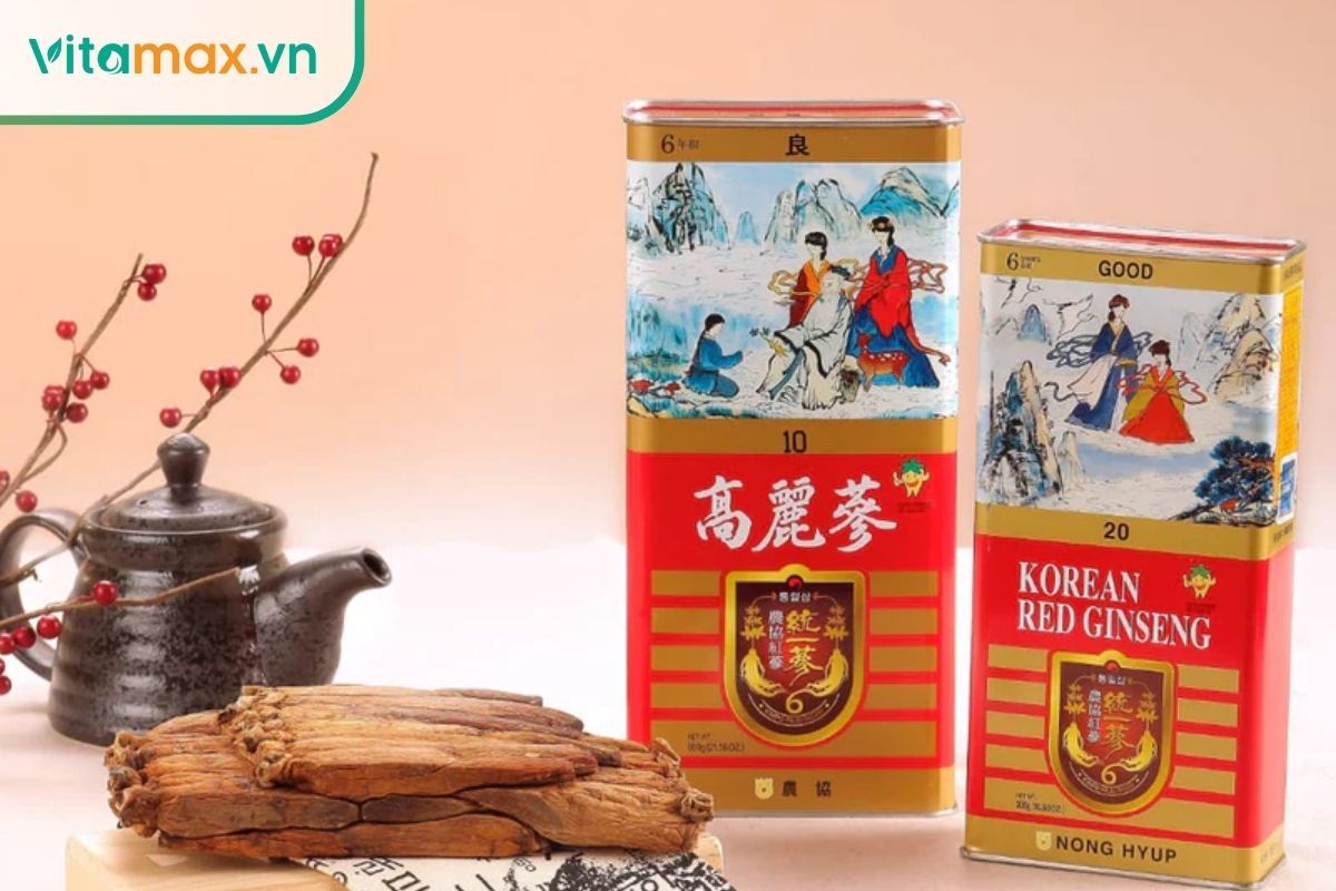 củ thiên sâm hạng heaven grade hình dáng hoàn hảo chuẩn nhân sâm hàn quốc