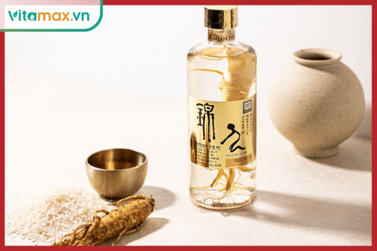 uống rượu sâm vào buổi sáng hoặc trưa giúp hấp thu tốt hơn