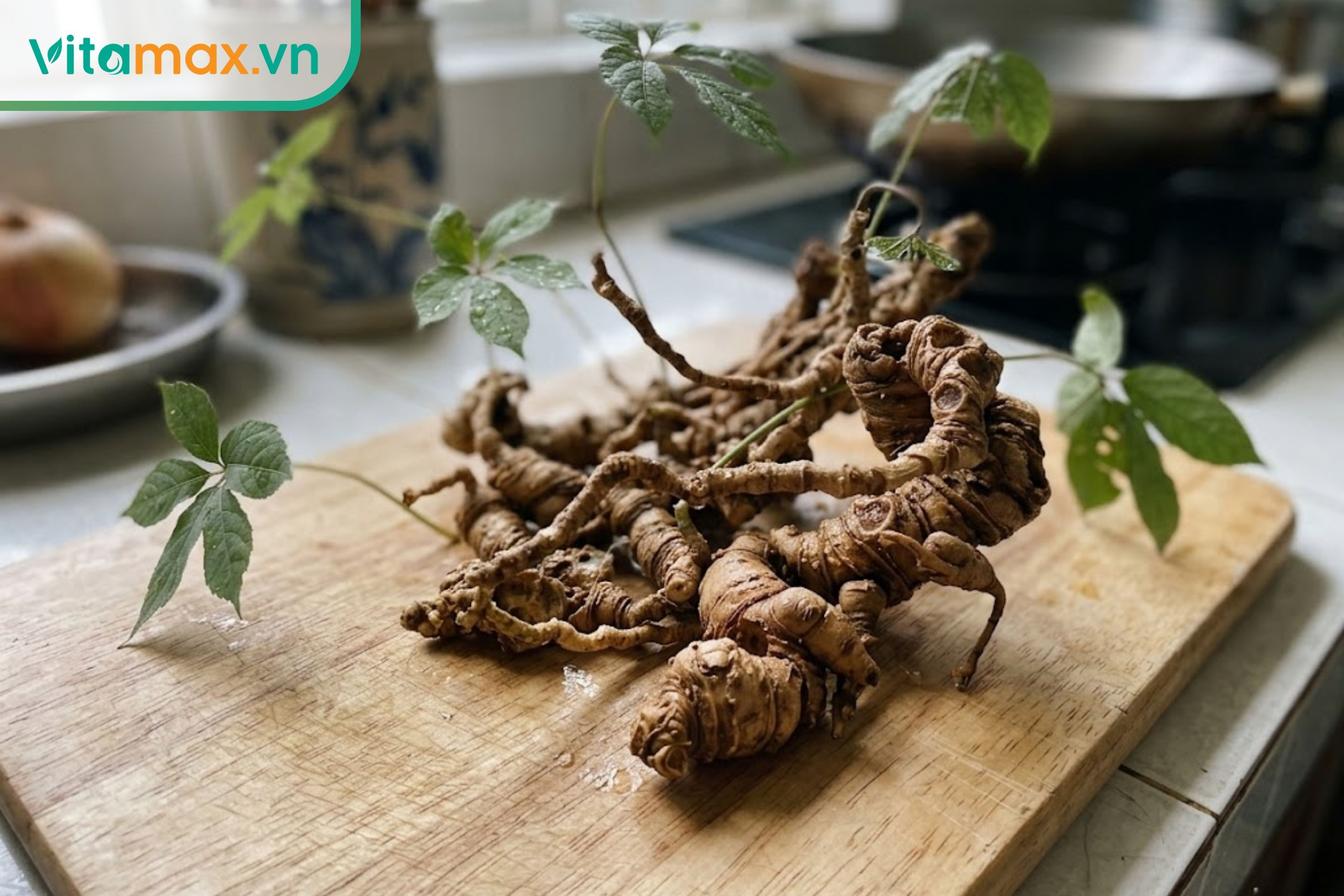 Củ sâm Ngọc Linh tươi vừa được làm sạch để ráo nước trên thớt gỗ.