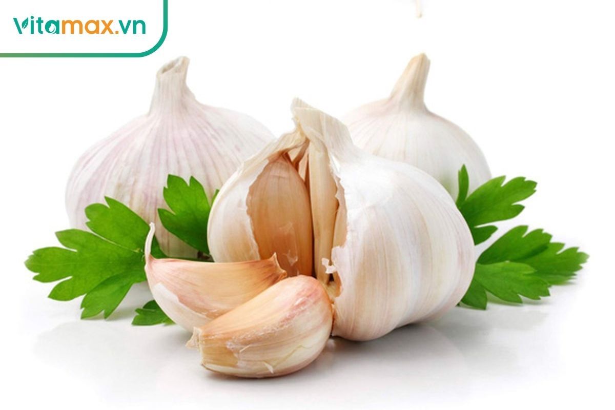 Tỏi chứa allicin tăng miễn dịch, giảm cholesterol, hạ huyết áp và tăng sinh lý nam