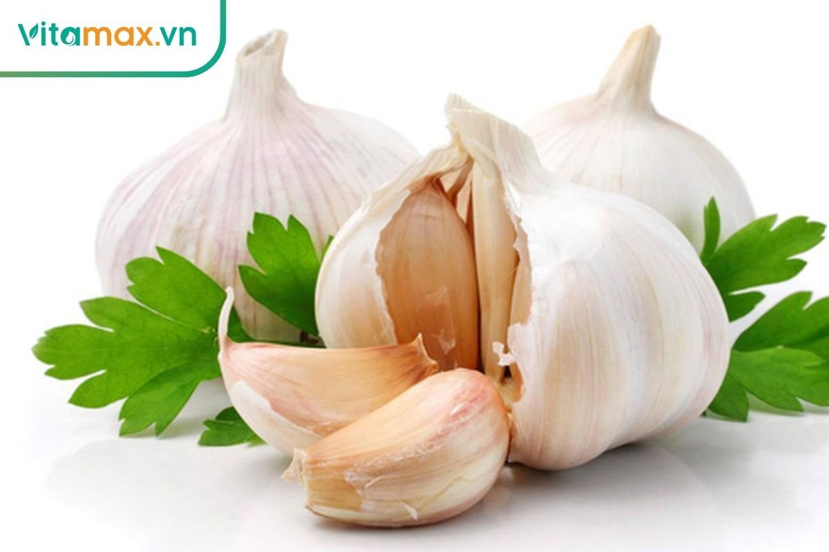 Tỏi có đặc tính chống oxy hóa, bảo vệ mạch máu và tinh hoàn,