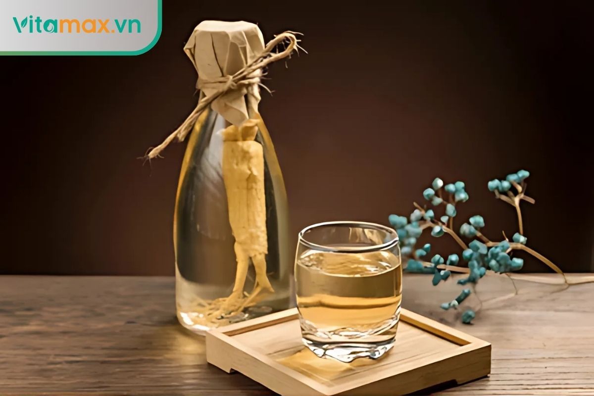 tổng hợp công dụng của sâm Hàn Quốc ngâm rượu