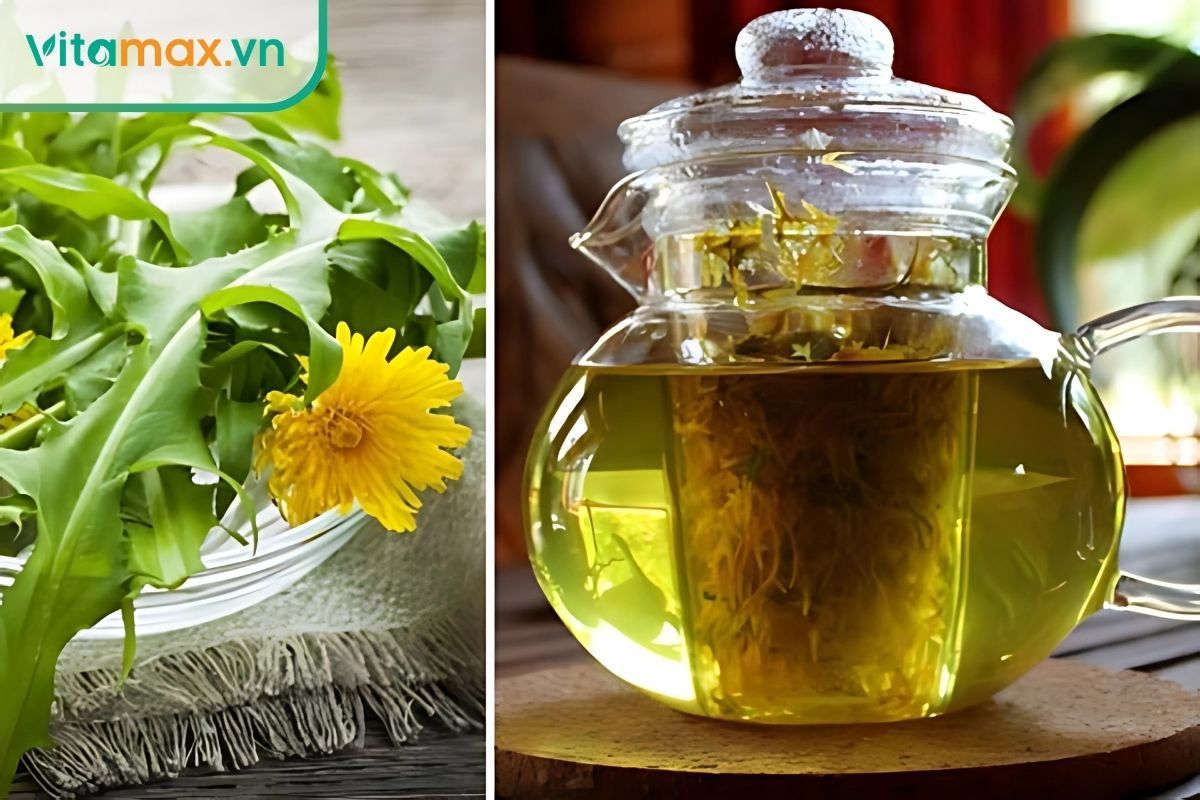 Trà bồ công anh dụng lợi tiểu tự nhiên và thanh nhiệt.