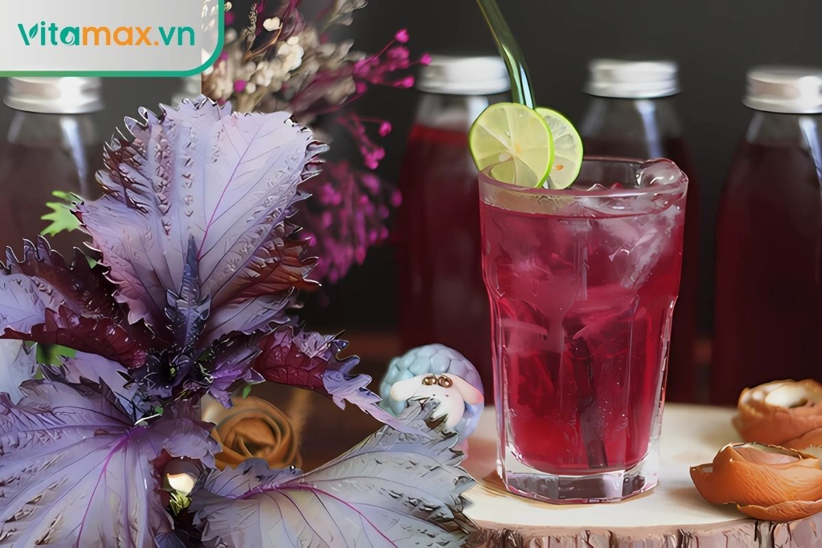 Trà tía tô giúp giảm viêm, ngừa biến chứng cho người bệnh thận mạn tính.
