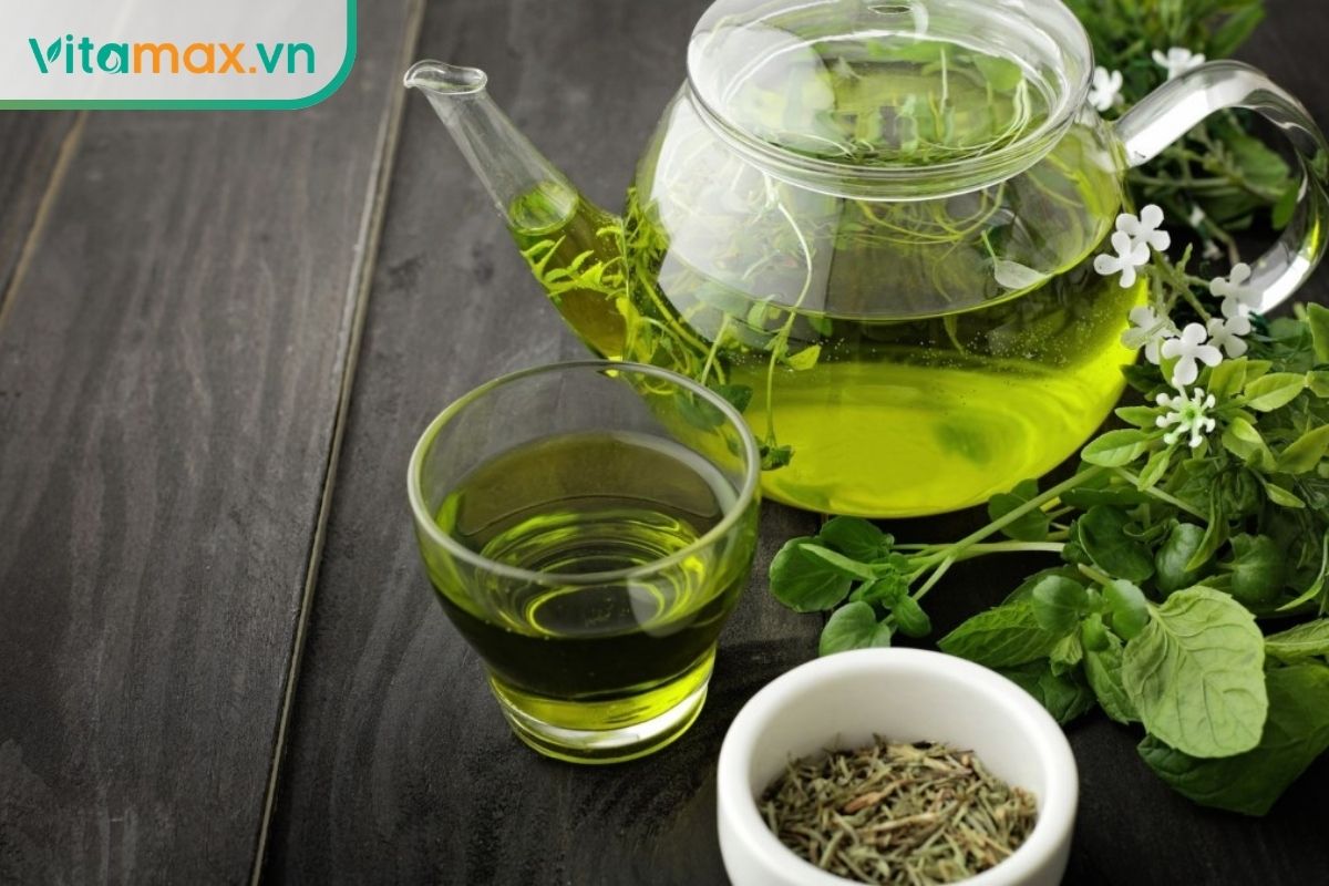Bình và cốc trà xanh đặt cạnh lá xanh và thảo mộc khô.