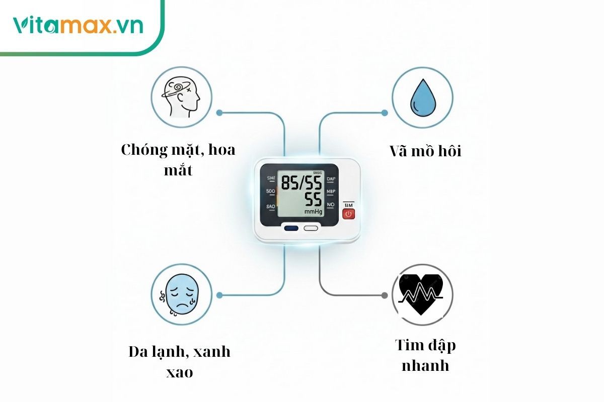 Infographic liệt kê các triệu chứng phổ biến của huyết áp thấp, bao gồm chóng mặt, hoa mắt, mệt mỏi và da lạnh.