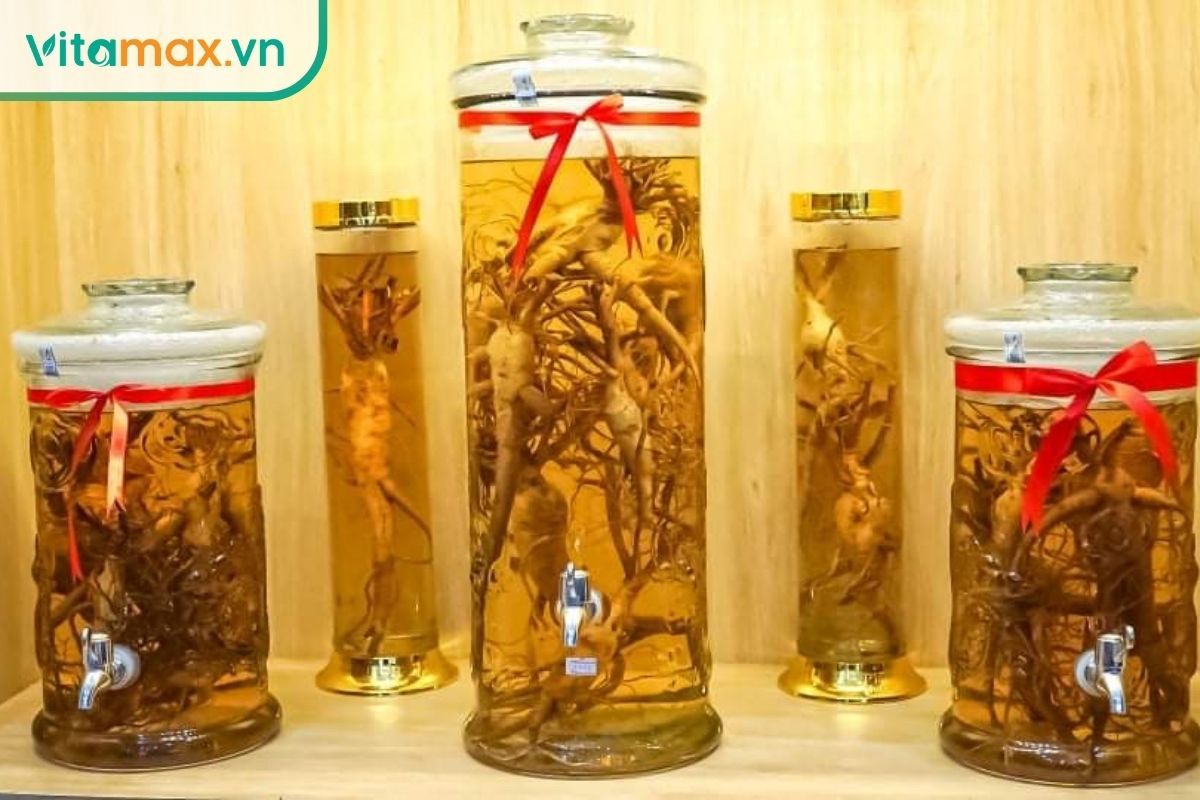 bình thủy tinh ngâm nhân sâm với rượu theo tỷ lệ tiêu chuẩn