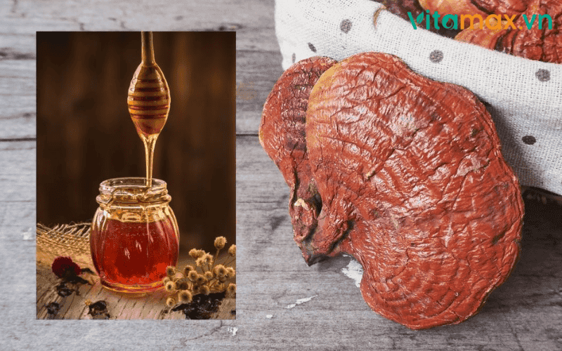 uống nấm linh chi với mật ong