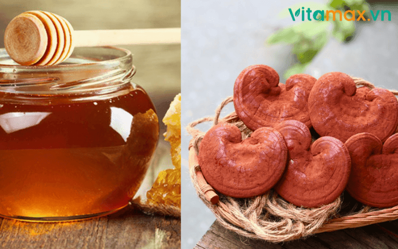 uống nấm linh chi với mật ong