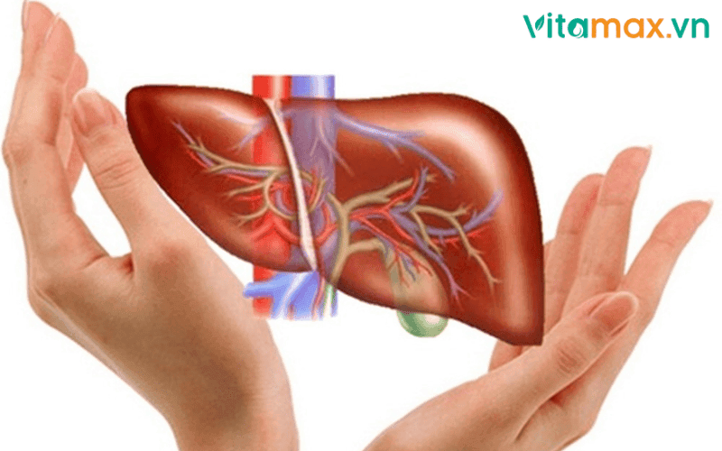 uống nấm linh chi với mật ong