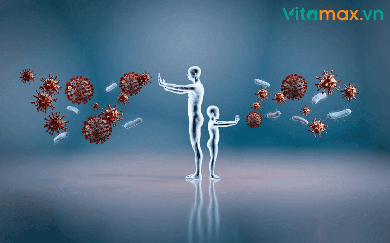 uống nấm linh chi với mật ong