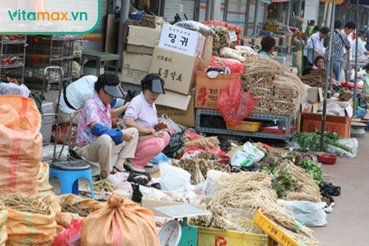 vùng trồng nhân sâm Geumsan với môi trường canh tác lý tưởng và chợ sâm lớn nhất Hàn Quốc